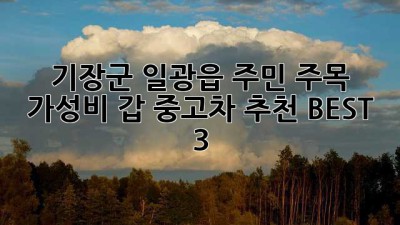 기장군 일광읍 주민 주목! ✨ 가성비 갑 중고차 추천 BEST 3